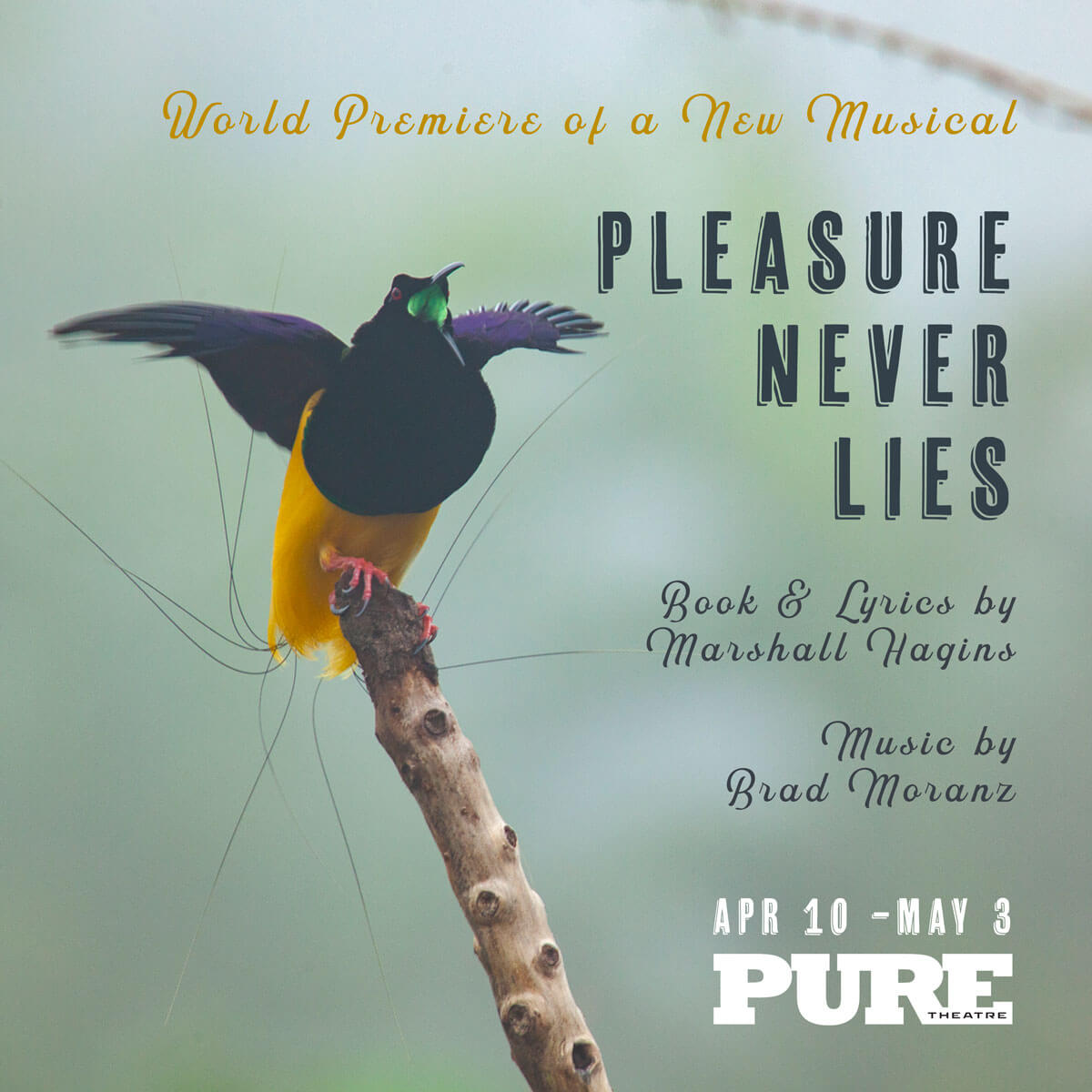 Pleasure Never Lies world premiere musical PURE Theatre